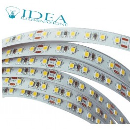 Strip led 300 led SMD 5 mt. 6500K 12V