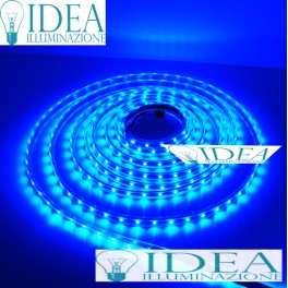 Strip led 300 led SMD 5 mt. Blu 12V